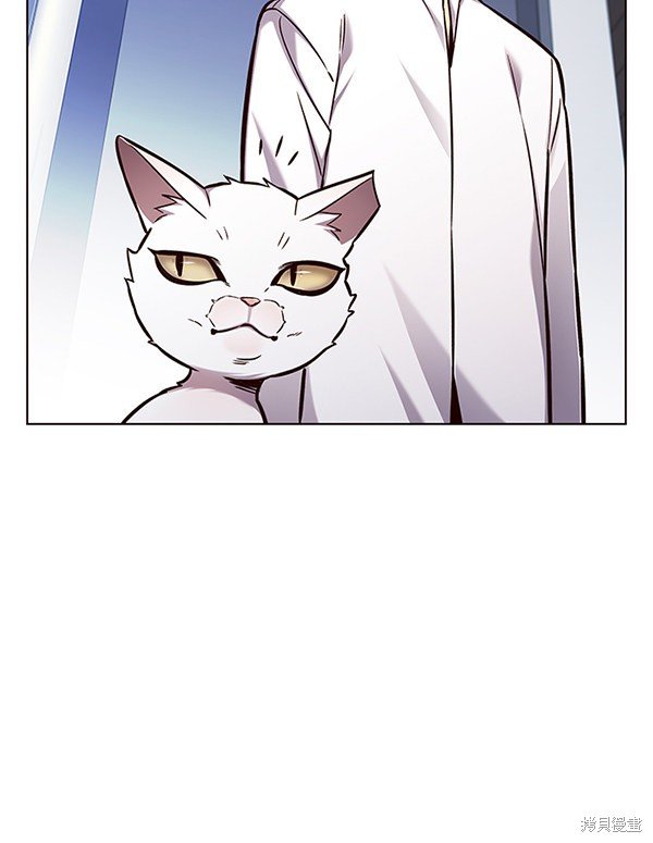 第144话