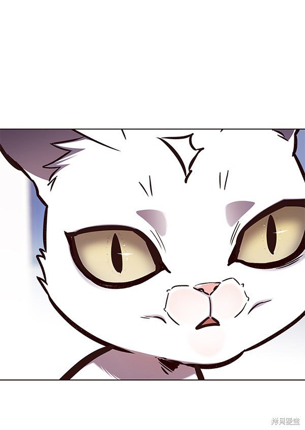 第144话