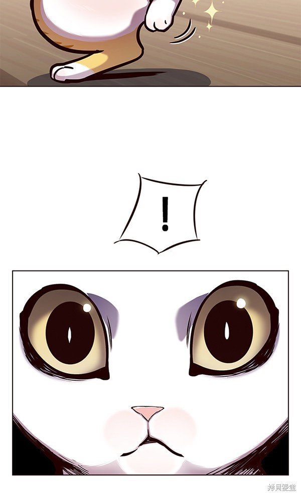 第144话