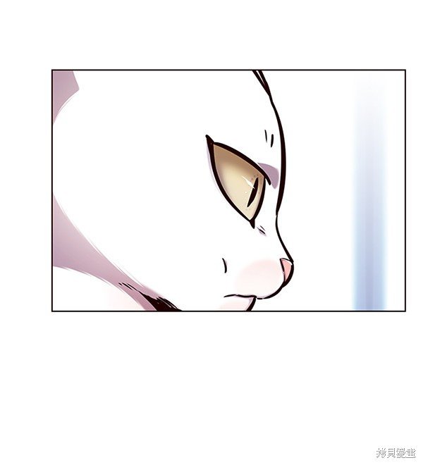 第144话