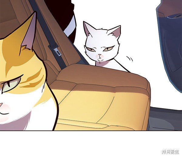 第144话