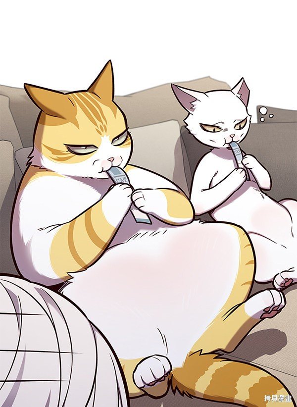 第146话
