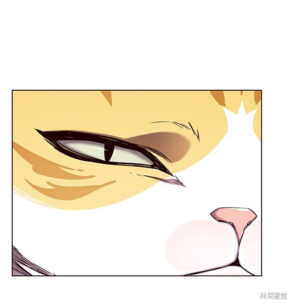 第146话
