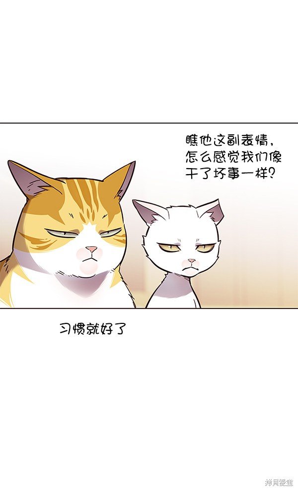 第146话