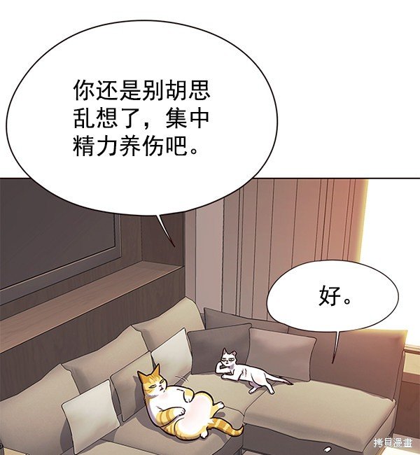 第146话