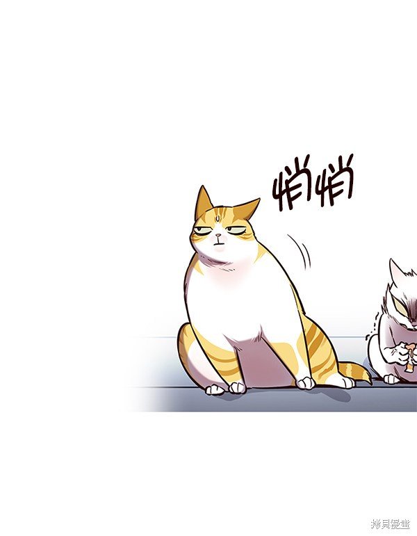 第155话