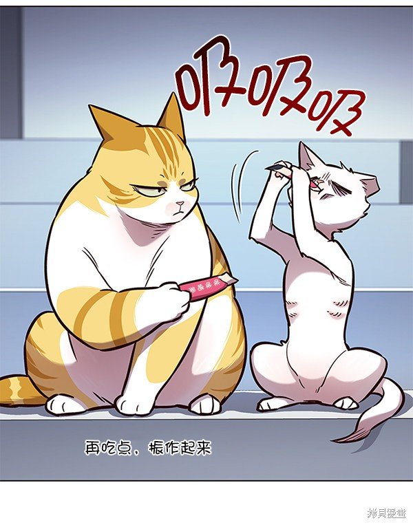 第159话