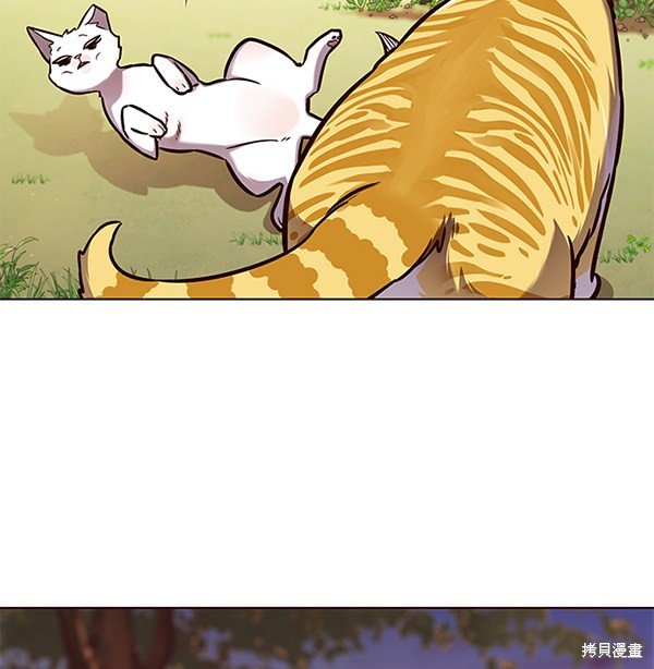 第161话