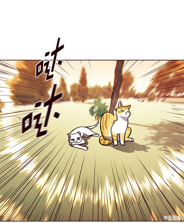 第161话
