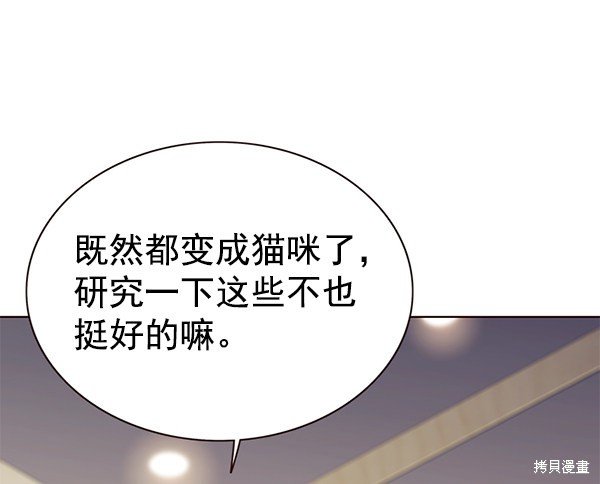第164话