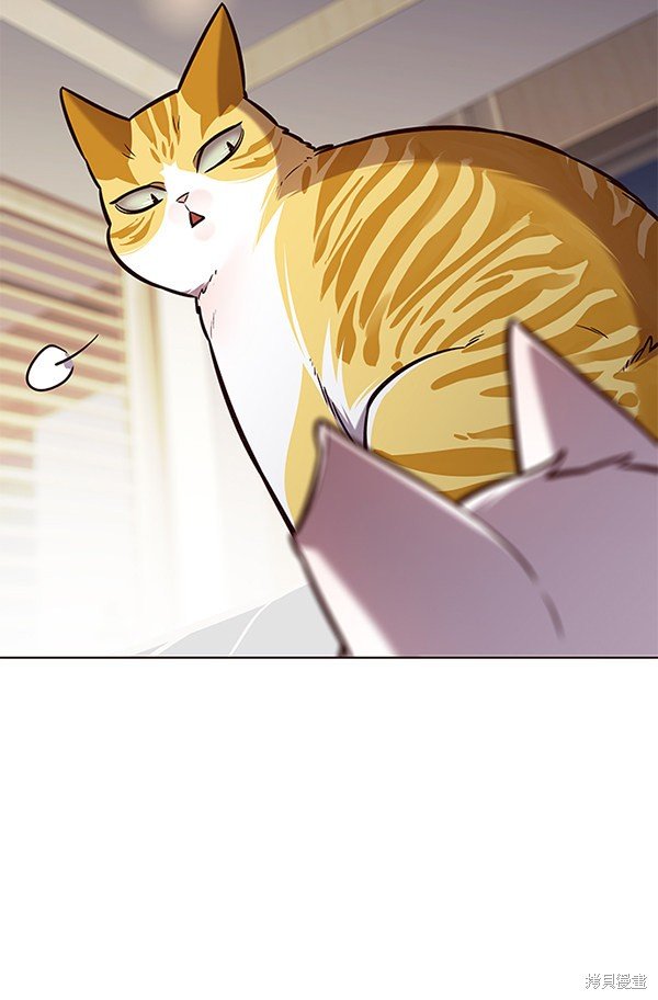 第164话