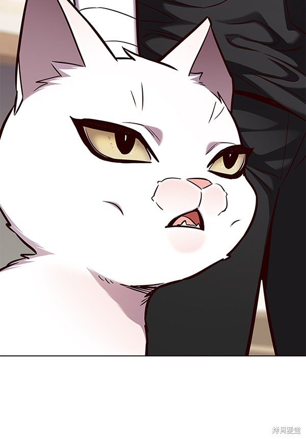 第164话