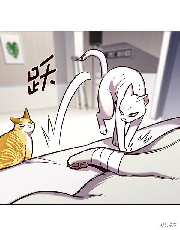 第166话