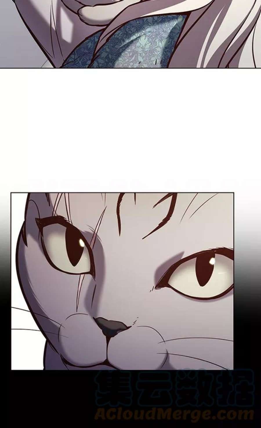第188话