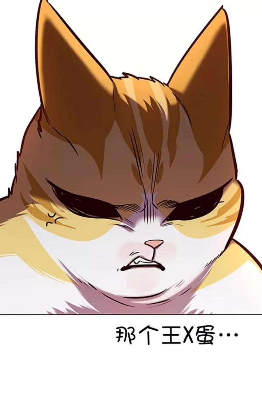 第195话