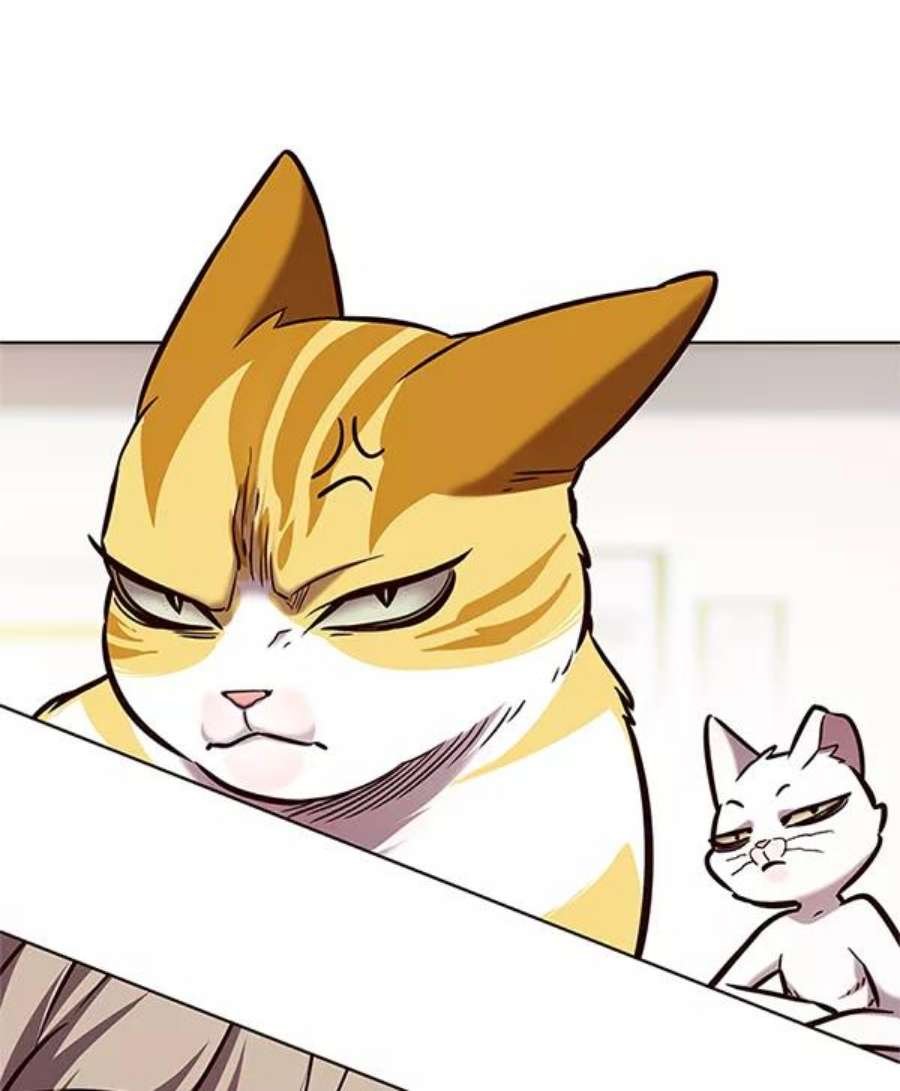第196话