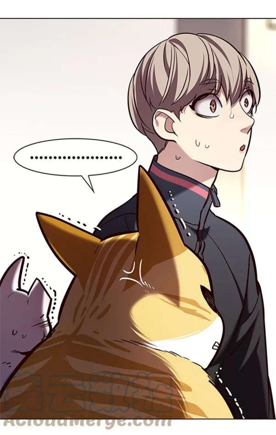 第196话
