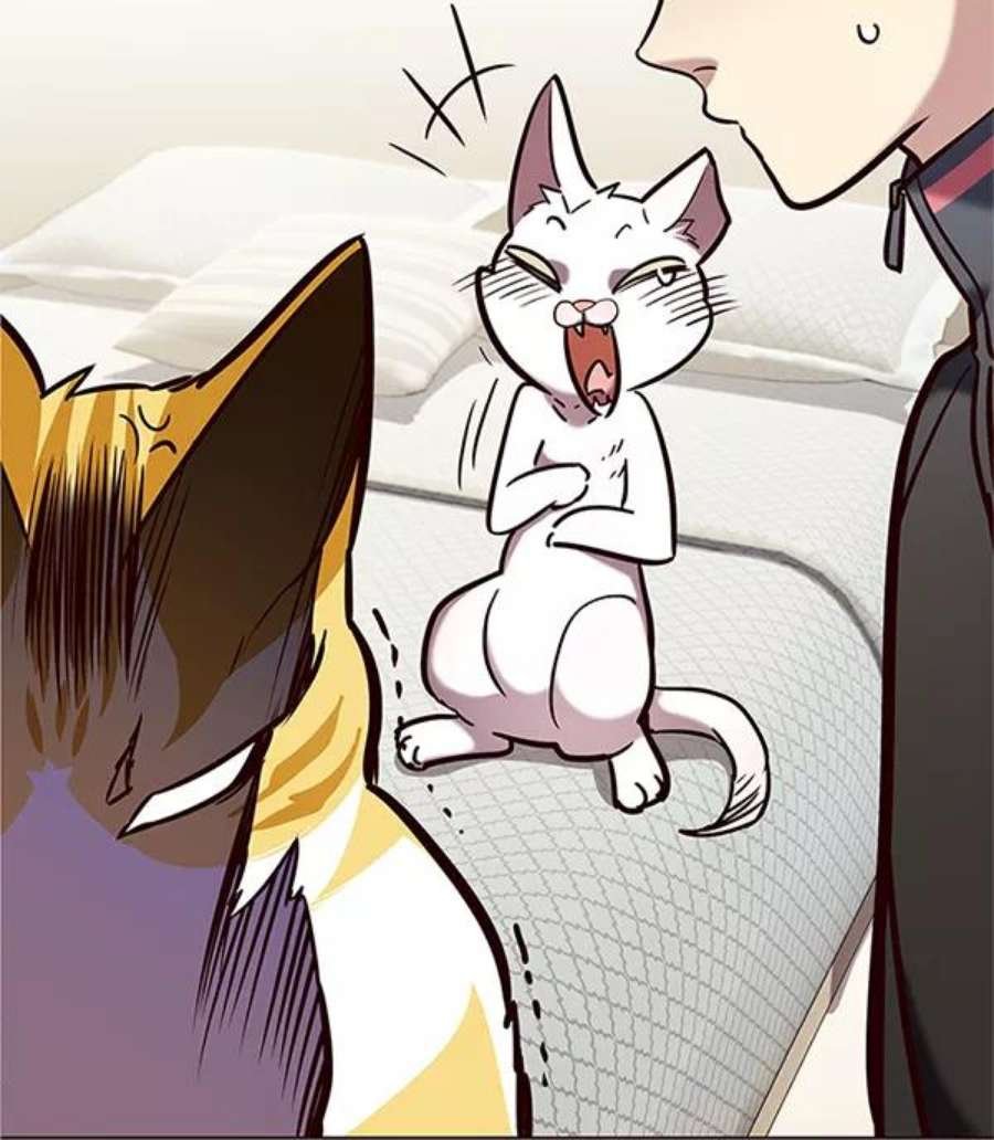 第196话