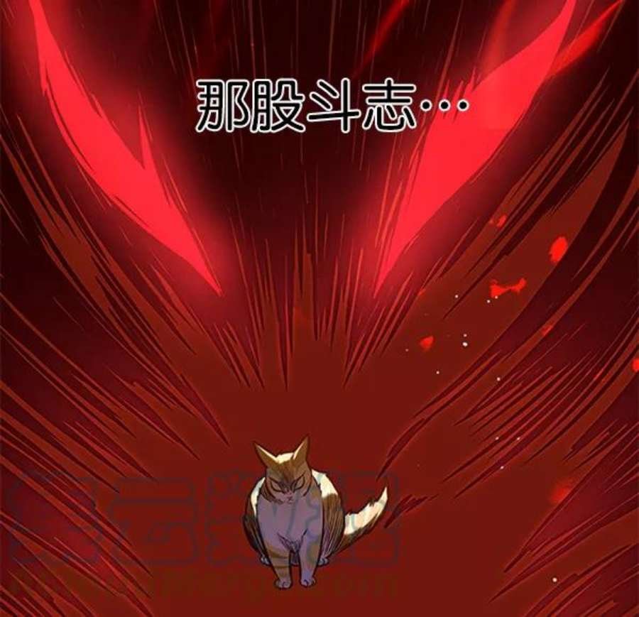 第196话