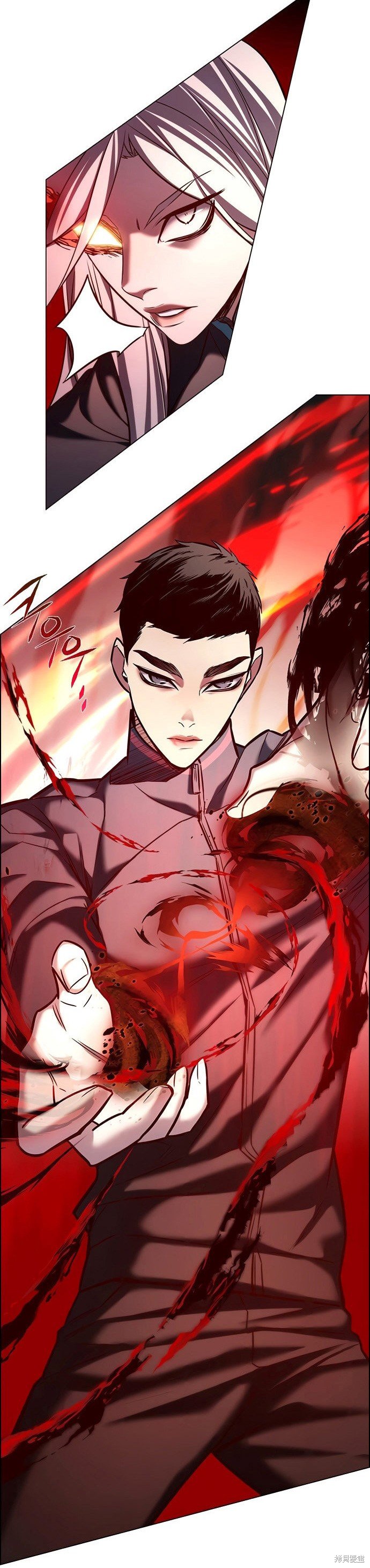 第204话