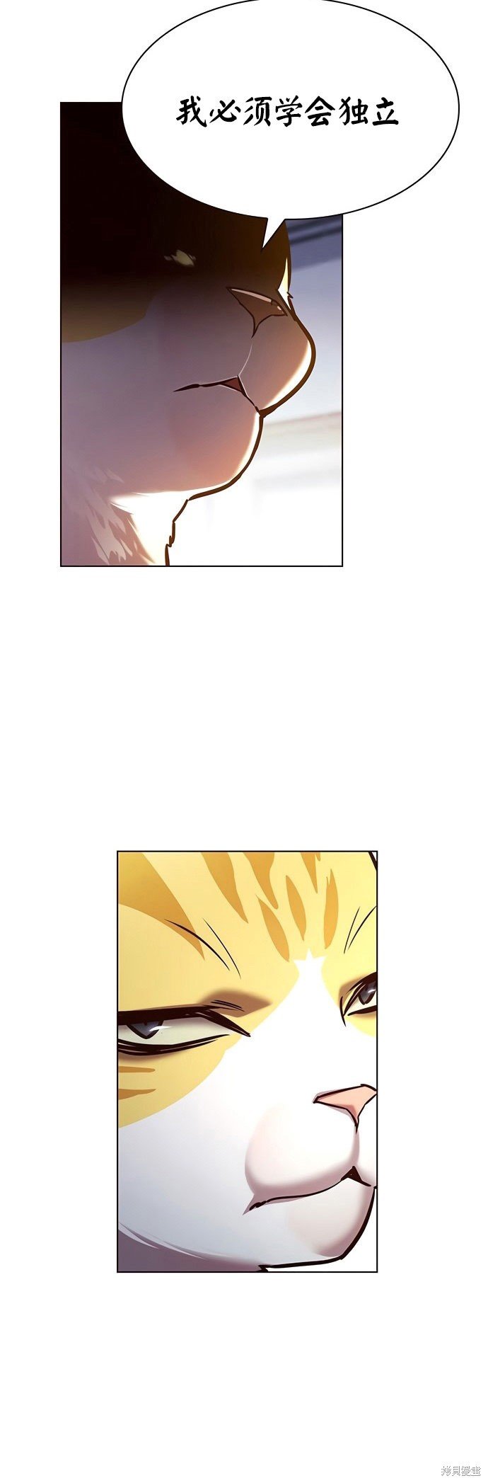 第214话