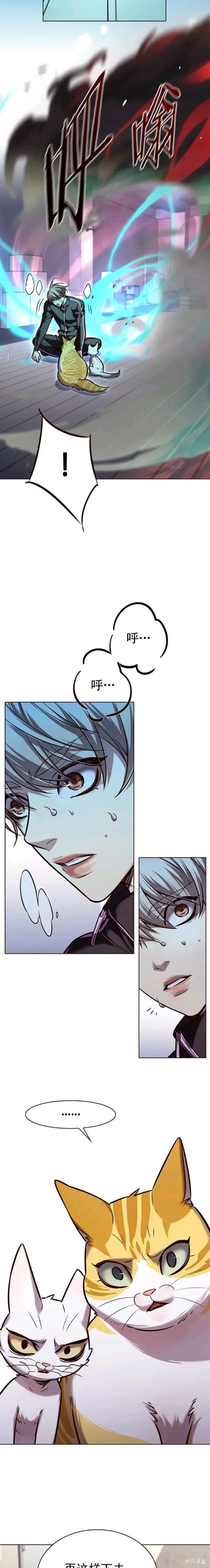 第229话
