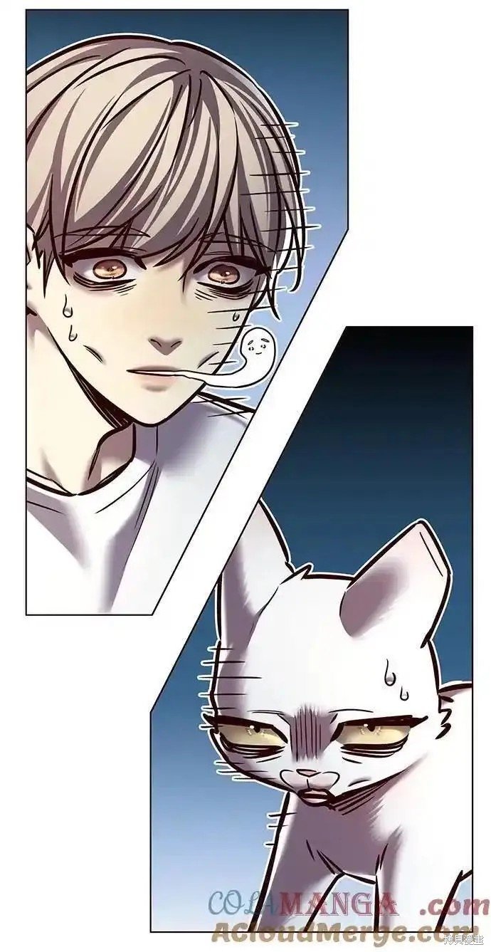第278话