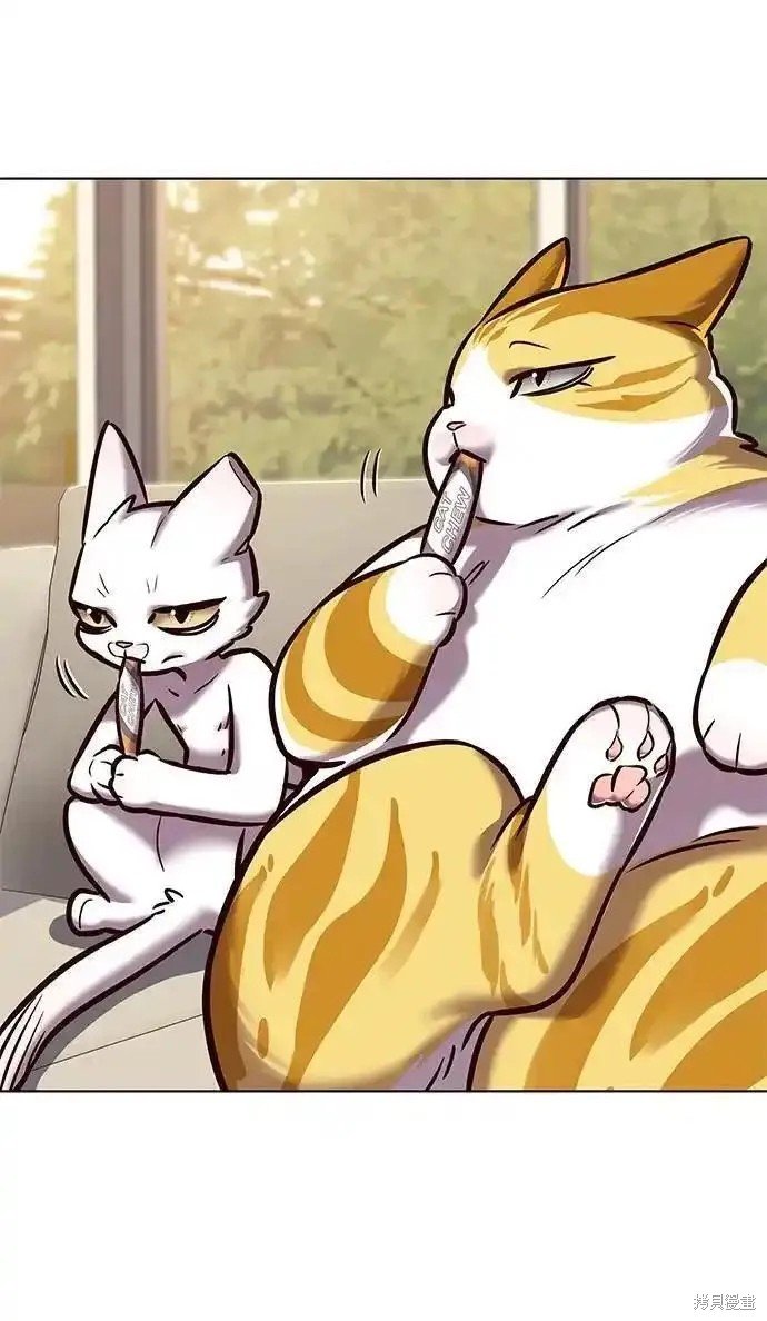 第279话