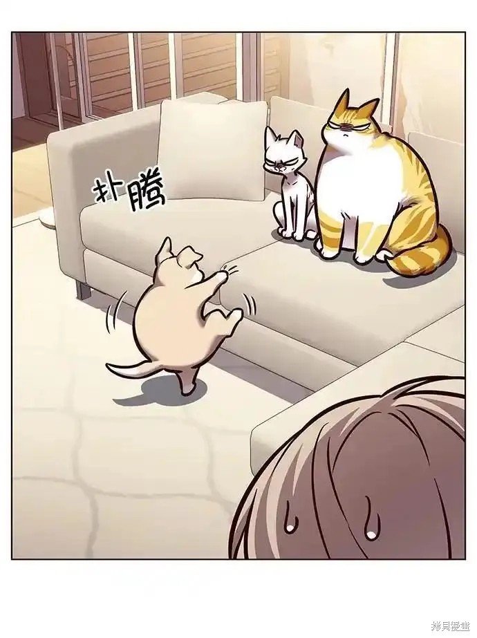 第279话