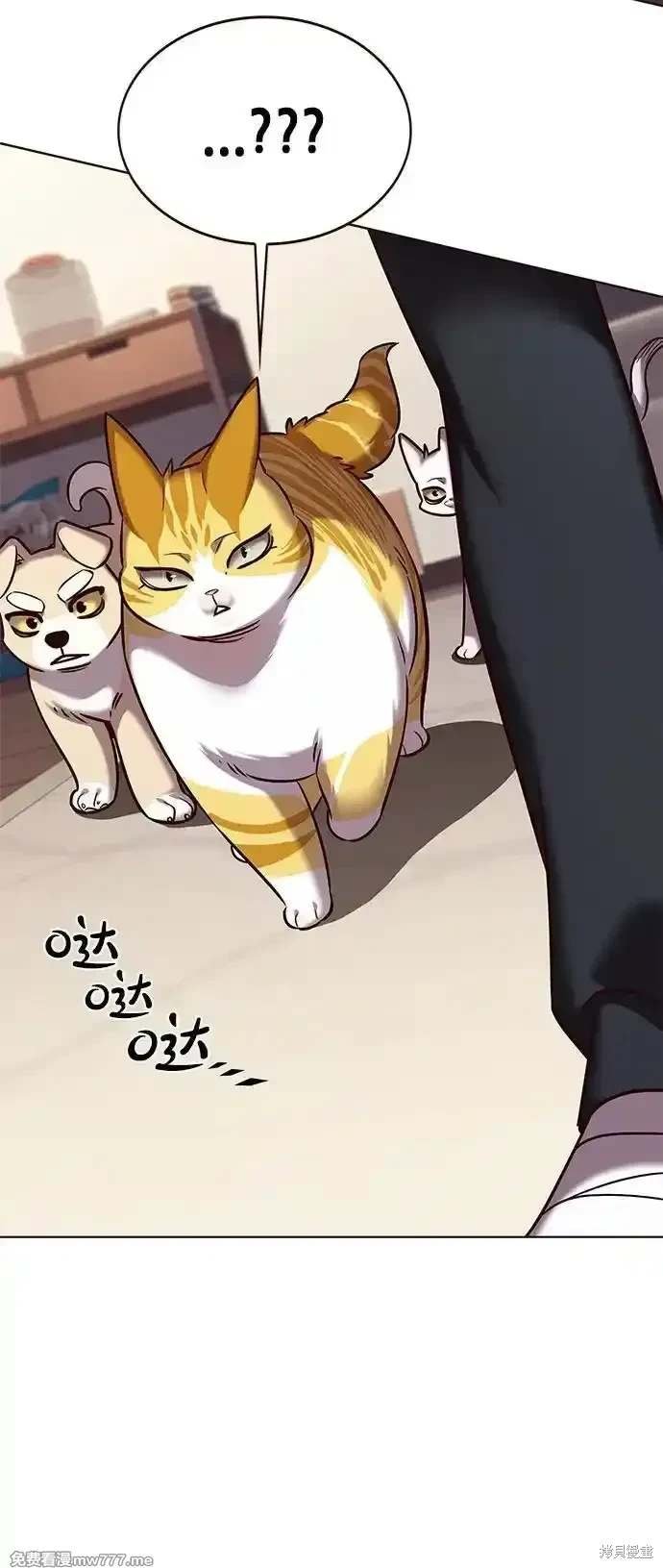 第305话
