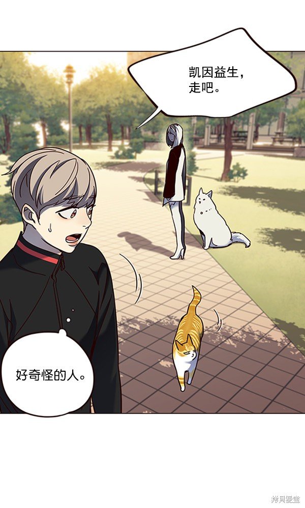 第80话