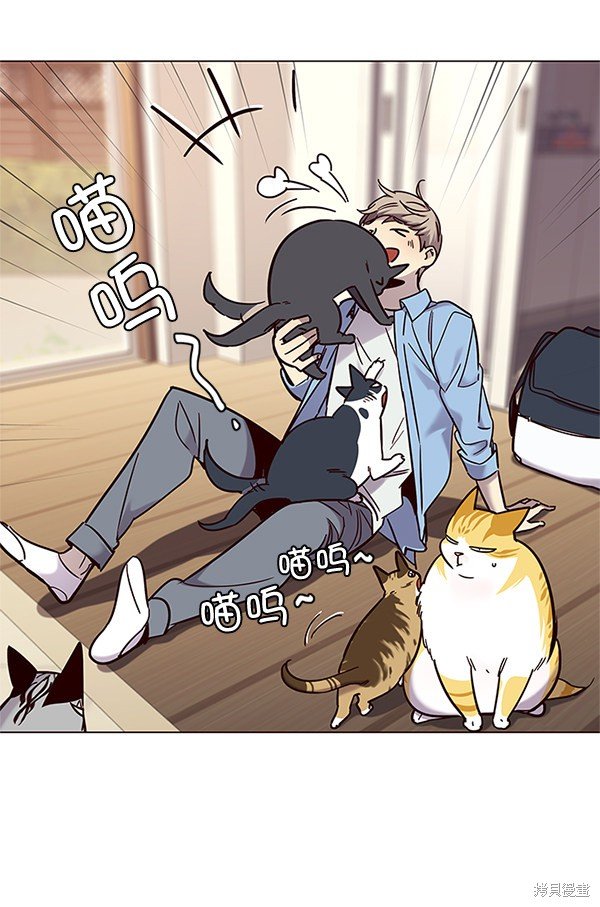 第99话