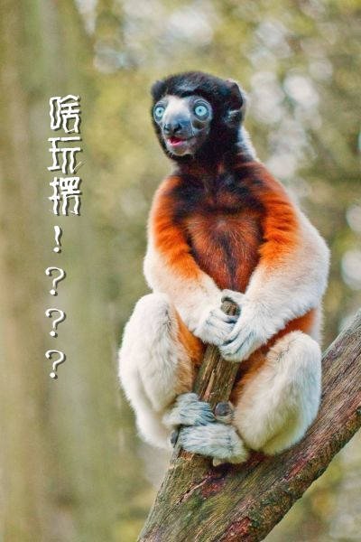 第89话