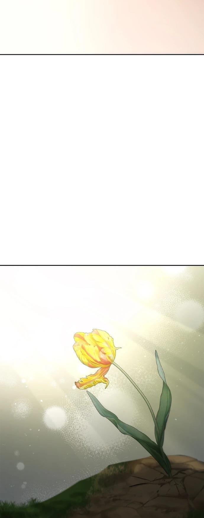 第114话