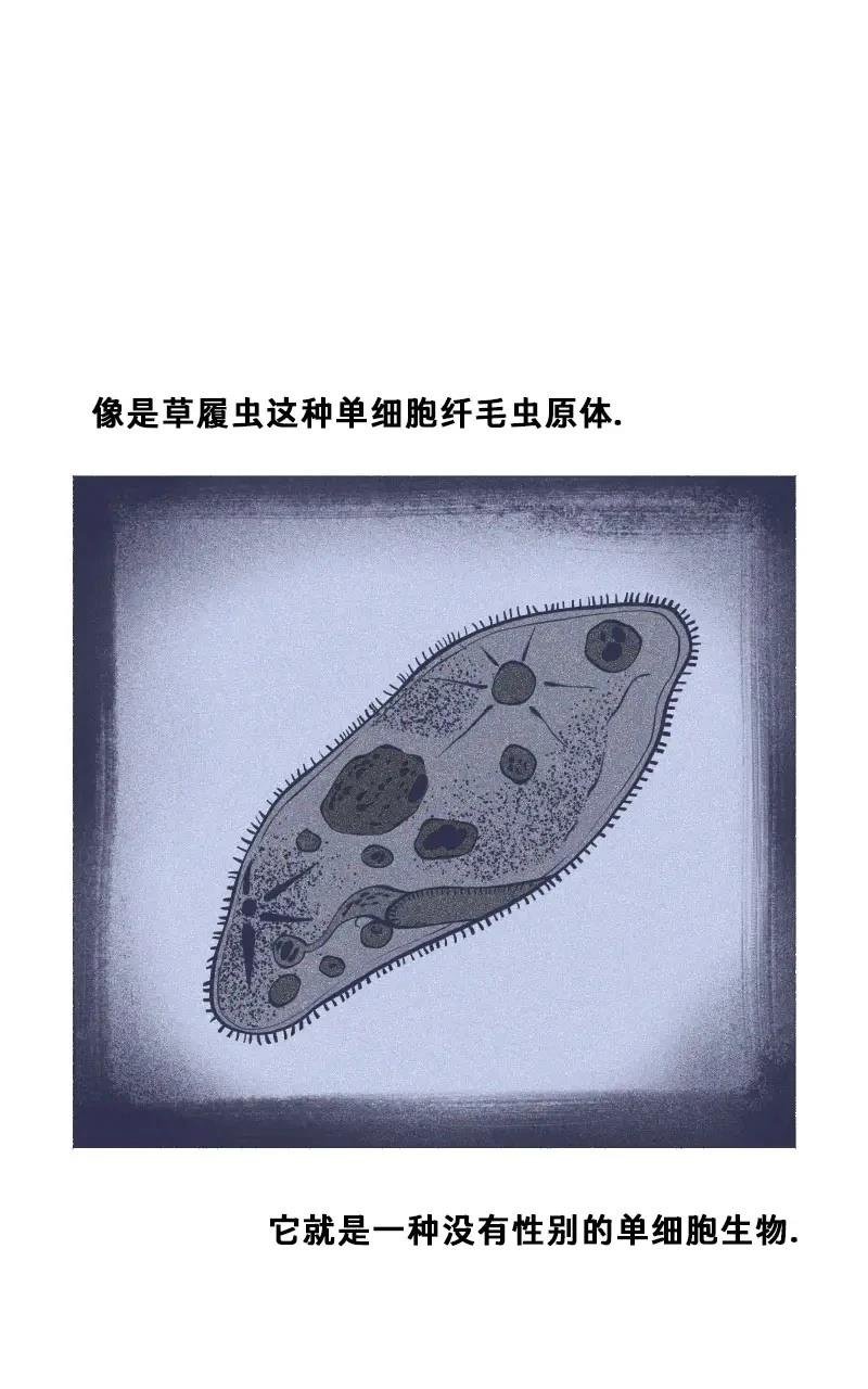 格温侍06