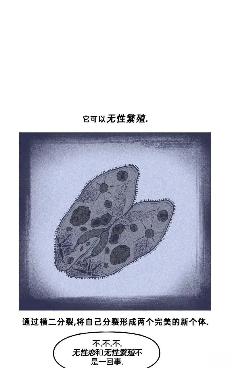 格温侍06