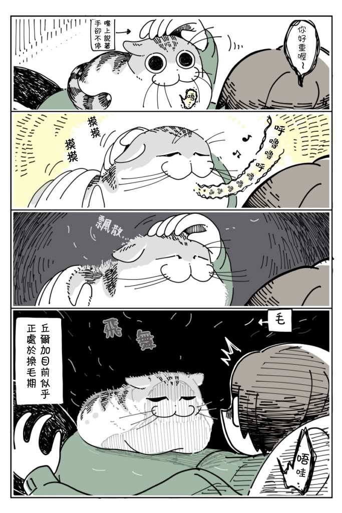 第11话