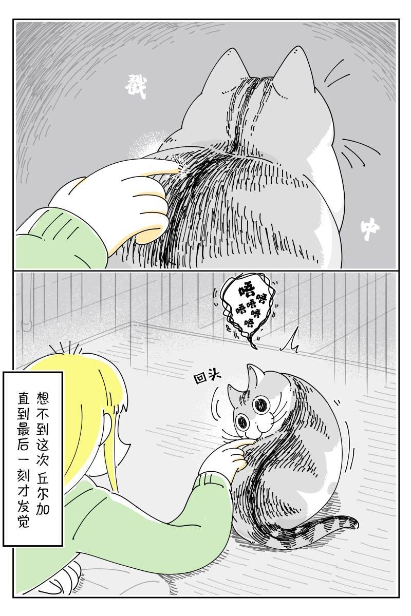 第115话