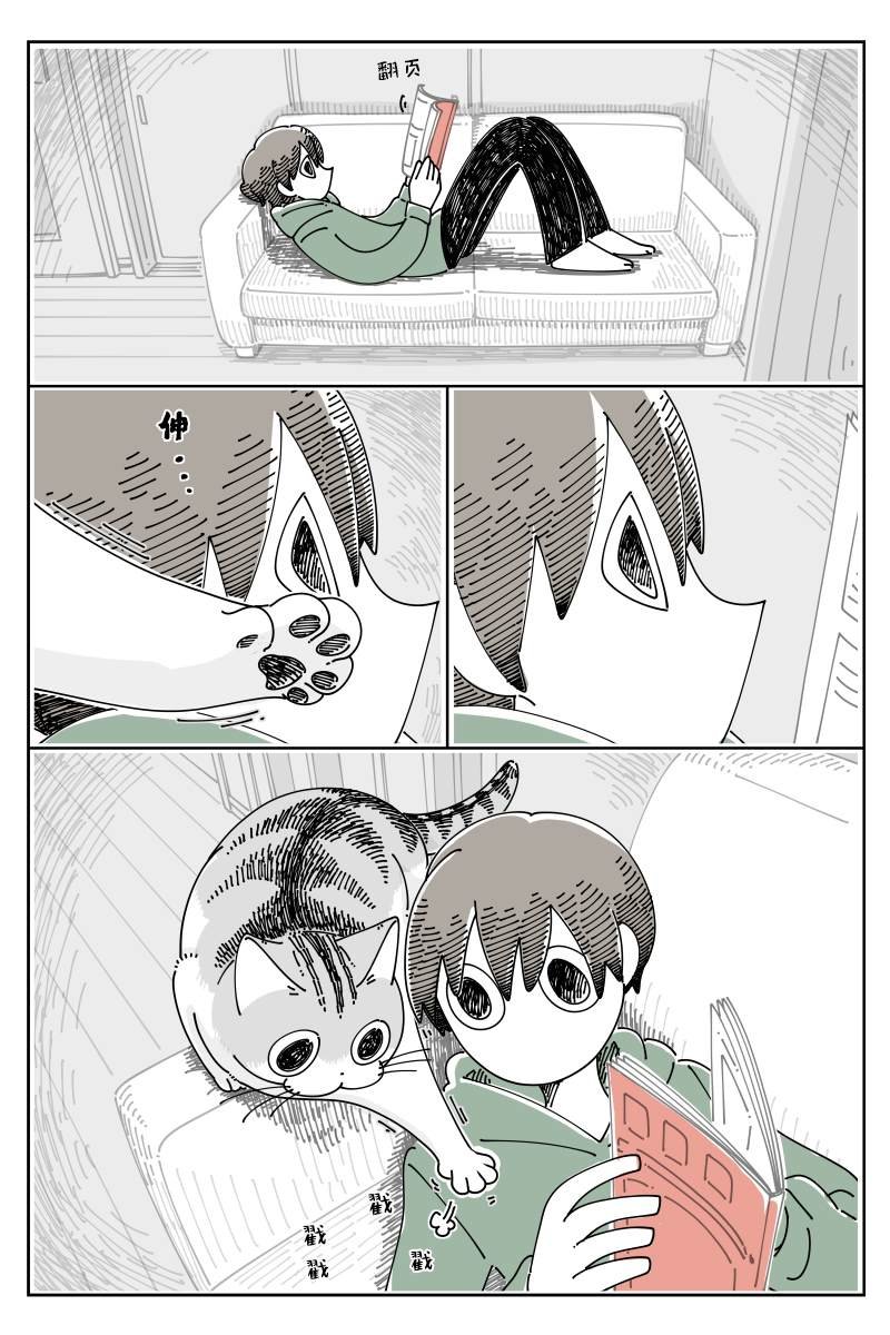 第117话