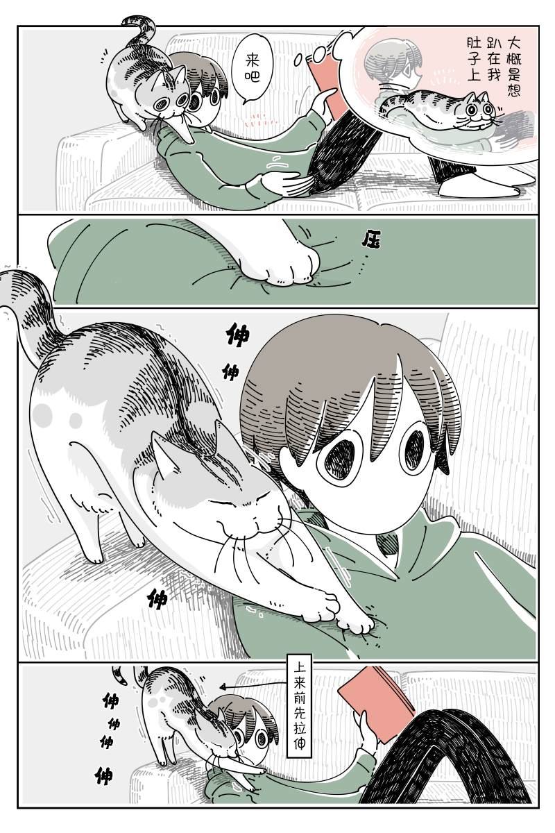 第117话