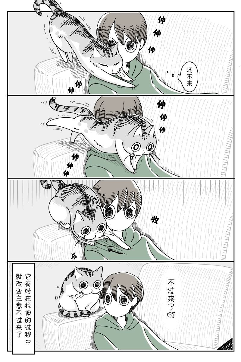 第117话