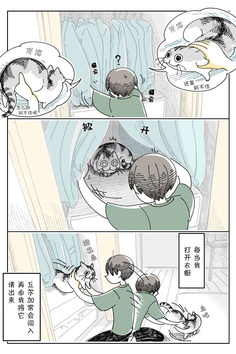 第120话