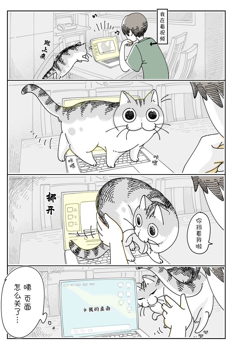 第128话