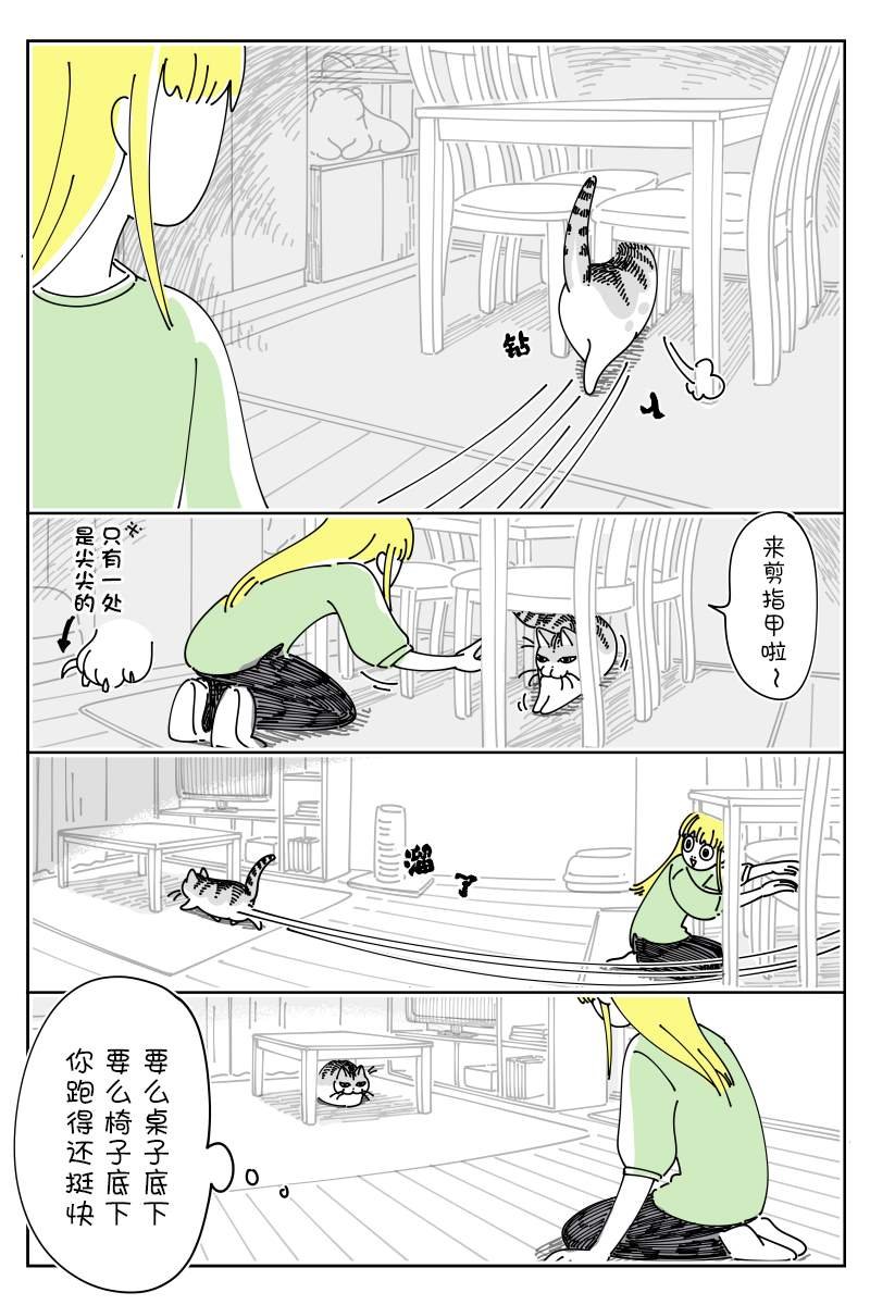 第132话
