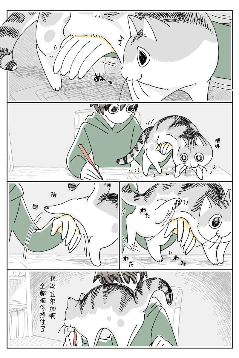 第141话
