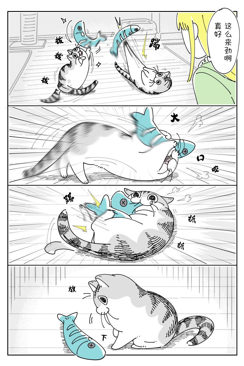 第146话