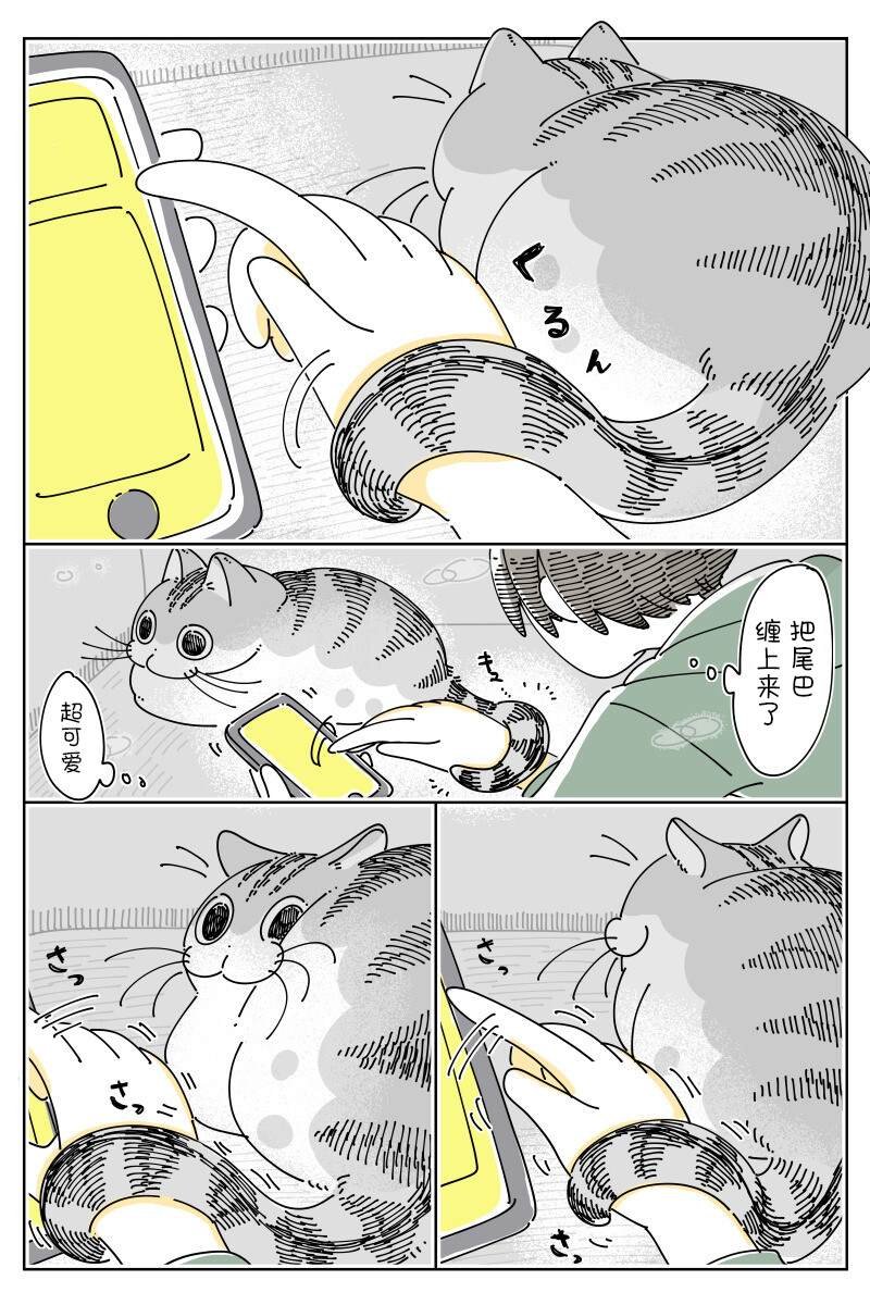第148话
