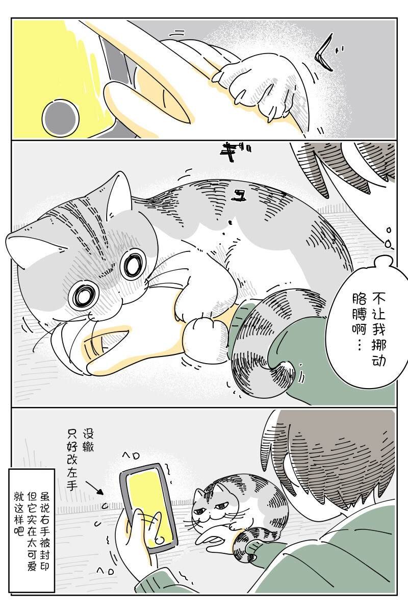 第148话
