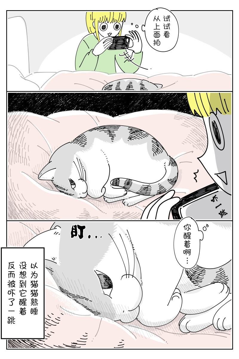 第152话