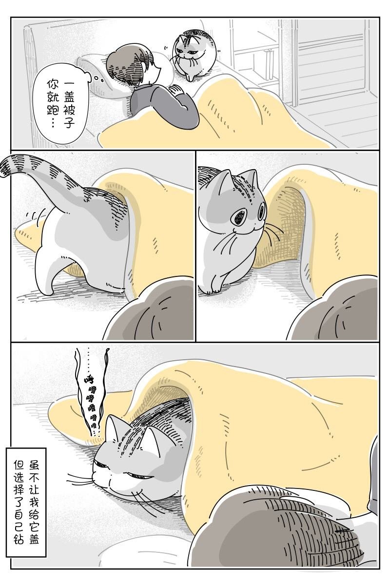 第155话